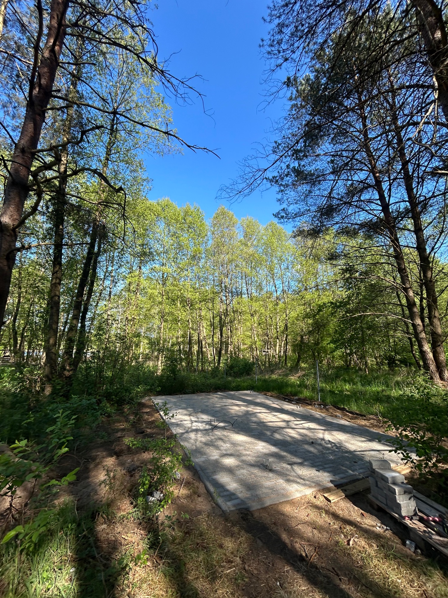 Betonowa podstawa z kostki brukowej w leśnym otoczeniu, przygotowana do budowy, z ułożonymi obok kostkami. Słoneczny dzień, wysokie drzewa i błękitne niebo w tle.