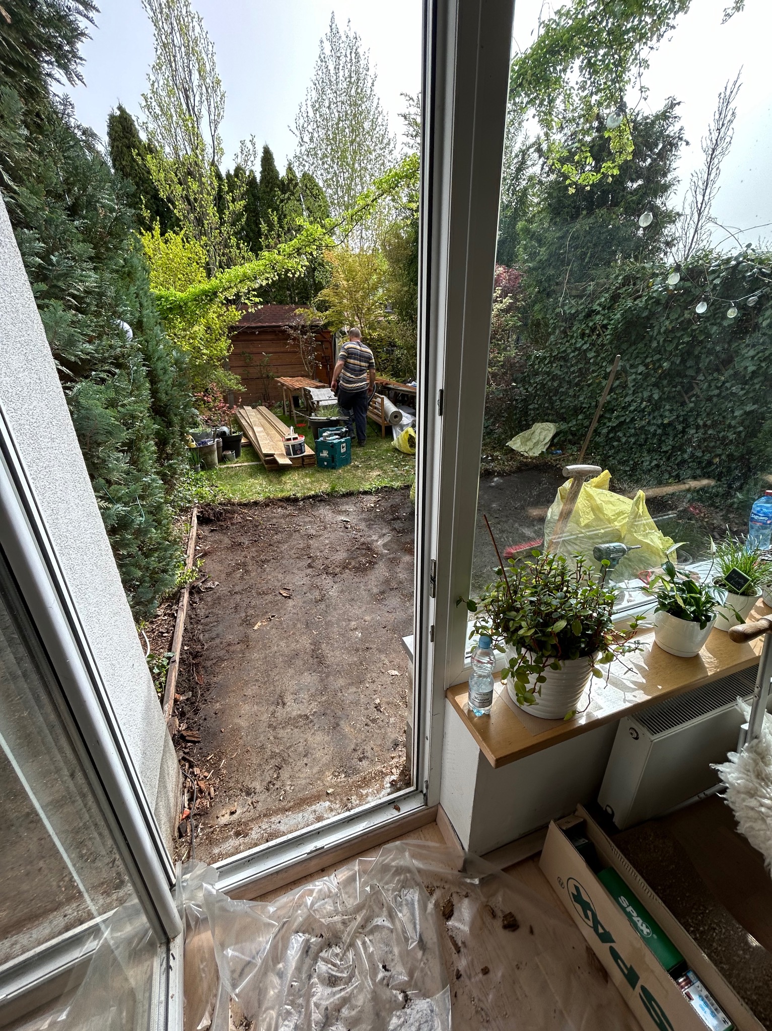 Przygotowanie terenu pod trawnik z rolki w Mosinie. Widok przez okno na wyrównaną ziemię, narzędzia i deski. Prace ogrodowe w toku, zielona roślinność w tle.