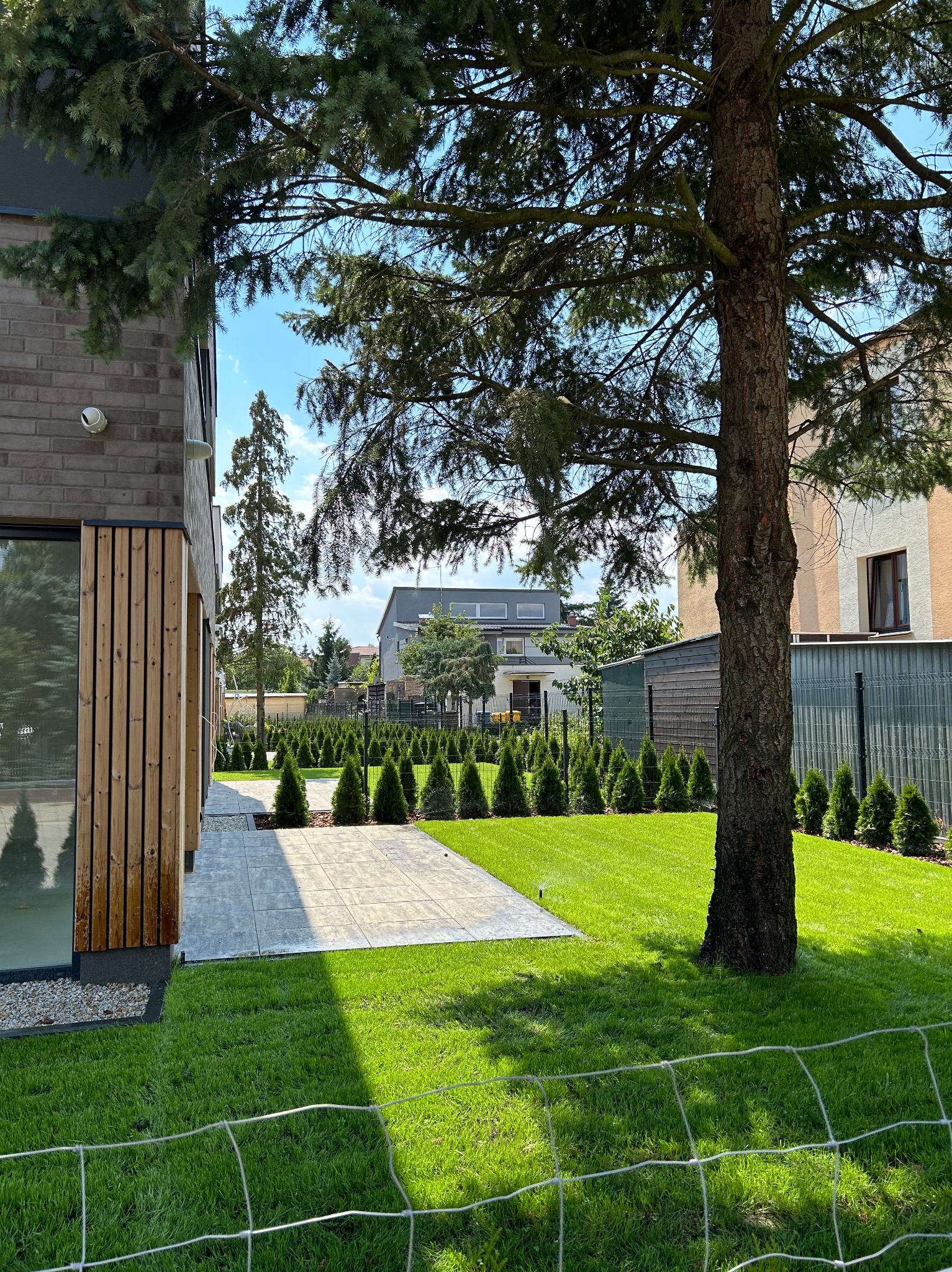 Nowoczesny ogród z równo przystrzyżonym trawnikiem, aleją z płyt, młodymi drzewkami iglastymi i metalowym ogrodzeniem. W tle budynki mieszkalne.