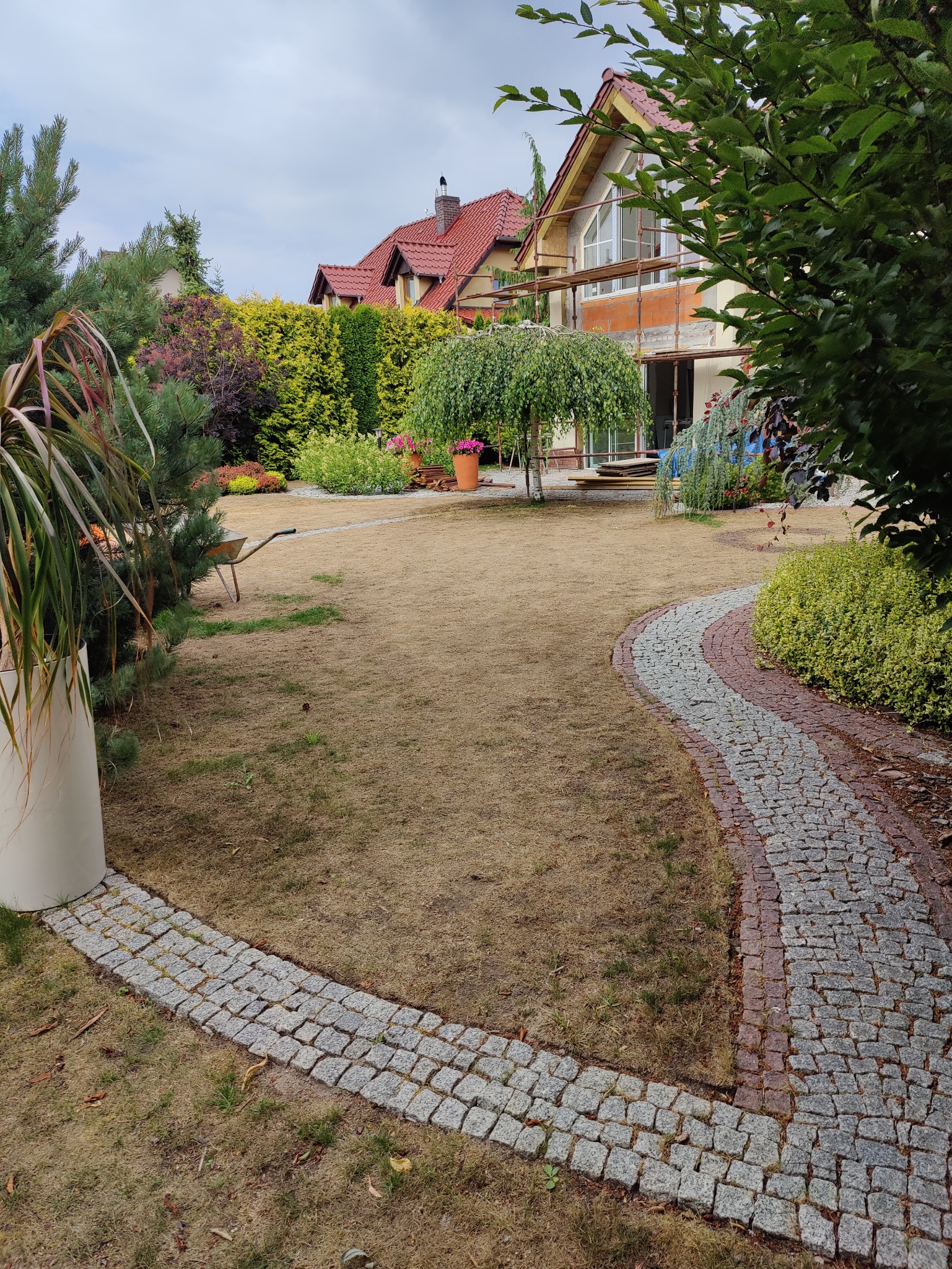 Ogród z ścieżką z kostki brukowej prowadzącą przez wyschnięty trawnik, z widocznymi drzewami i krzewami. W tle dom w trakcie prac remontowych.