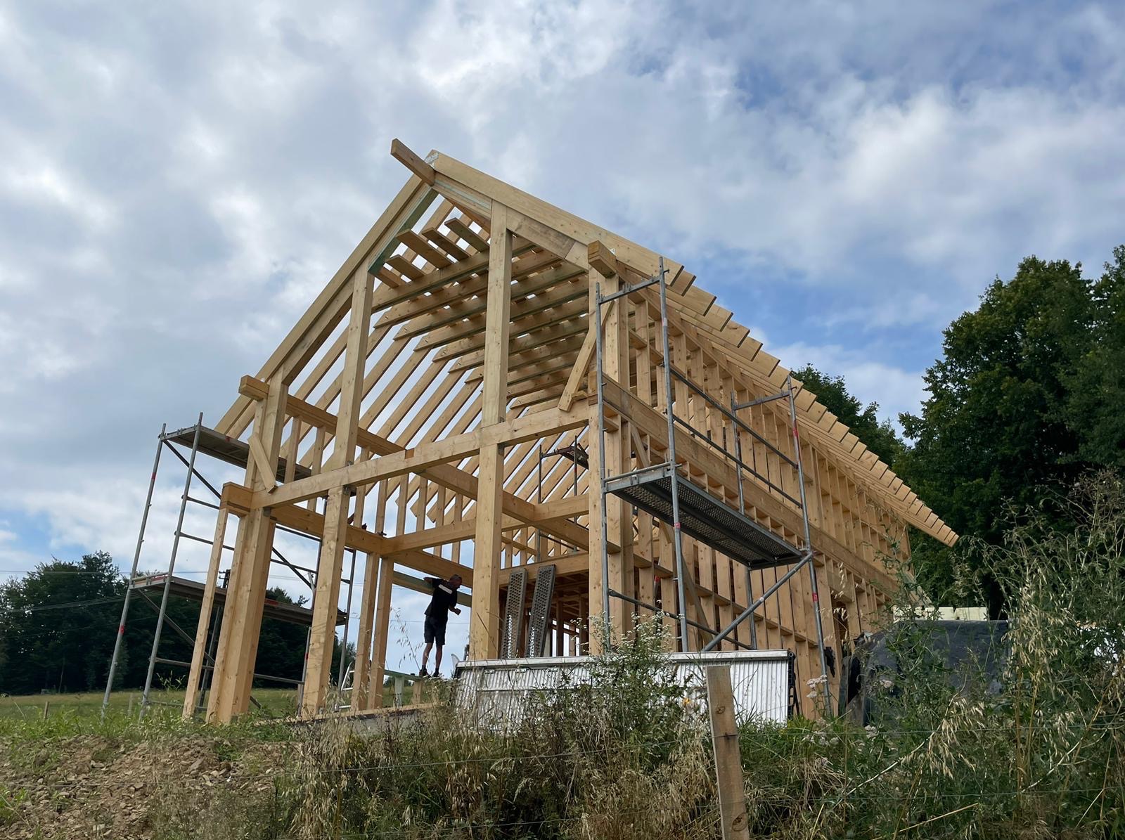 Konstrukcja szkieletowa domu jednorodzinnego w trakcie budowy, widoczne rusztowania i pracownik montujący elementy drewniane na tle pochmurnego nieba i zieleni.