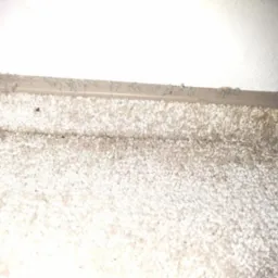 Bliższe ujęcie bardzo zakurzonej listwy przypodłogowej i fragmentu brudnego, jasnego dywanu z widocznymi plamami i paprochami, z góry oświetlonego światłem.