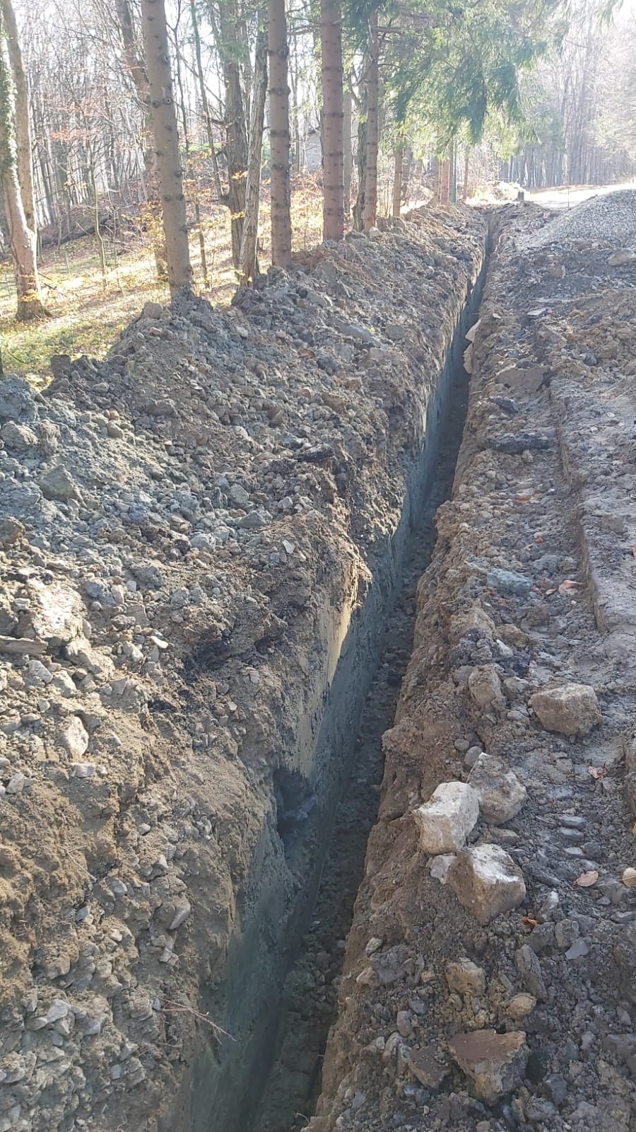 Wąski wykop w ziemi, prawdopodobnie pod drenaż, z widocznymi śladami koparki i drzewami w tle.