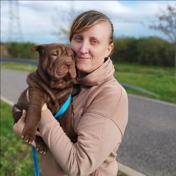 Firma transportowa Krak&oacute;w - avatar