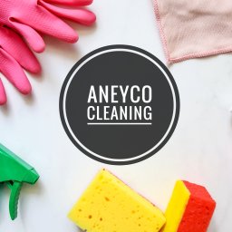 ANEYCO Sp. z o.o. - Pralnia Dywan&oacute;w Warszawa