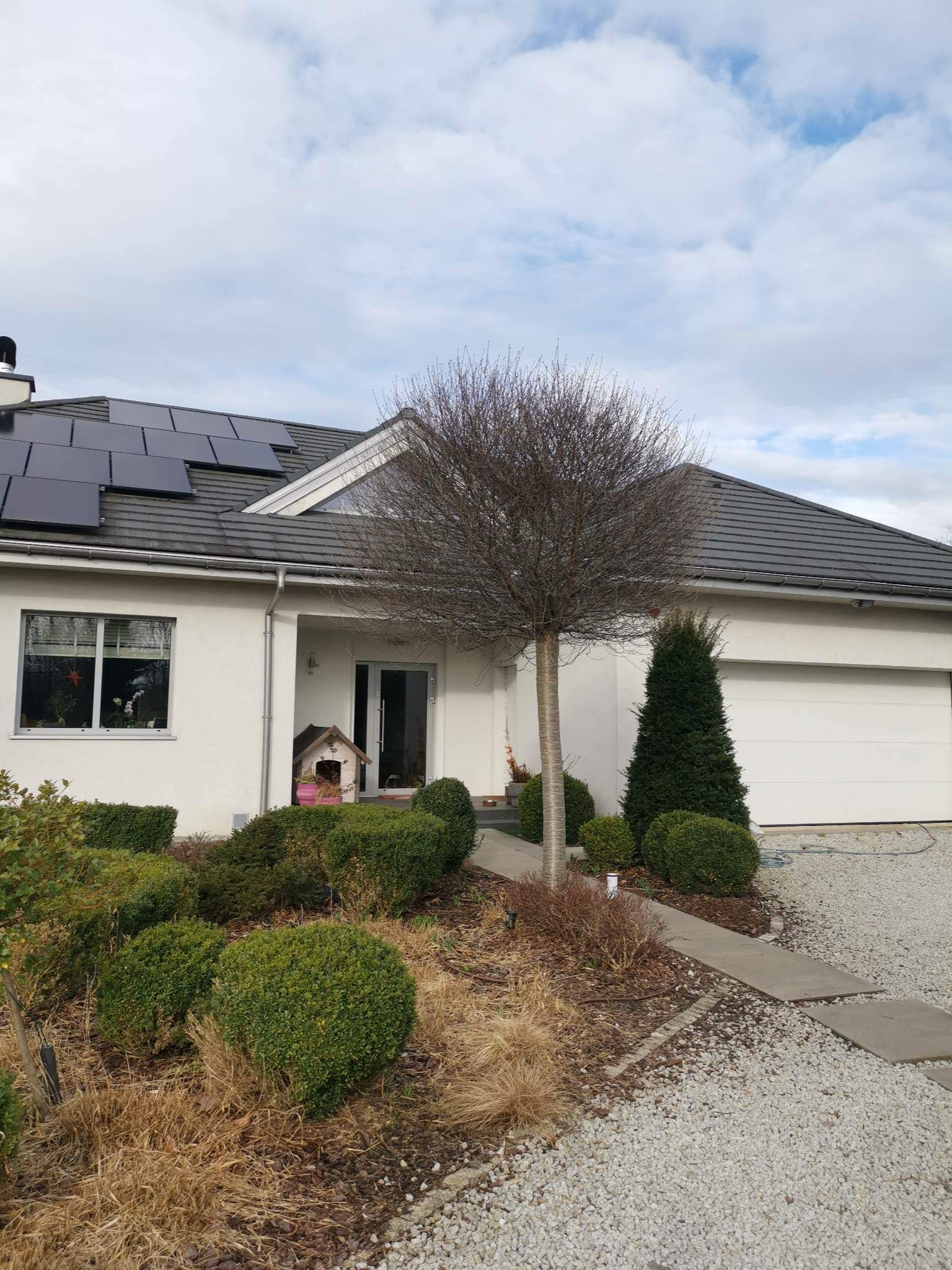 Nowoczesny dom jednorodzinny z szarą dachówką i panelami słonecznymi, widok z ogrodu na elewację z białym tynkiem, ozdobnymi krzewami i ścieżką z jasnego żwiru.