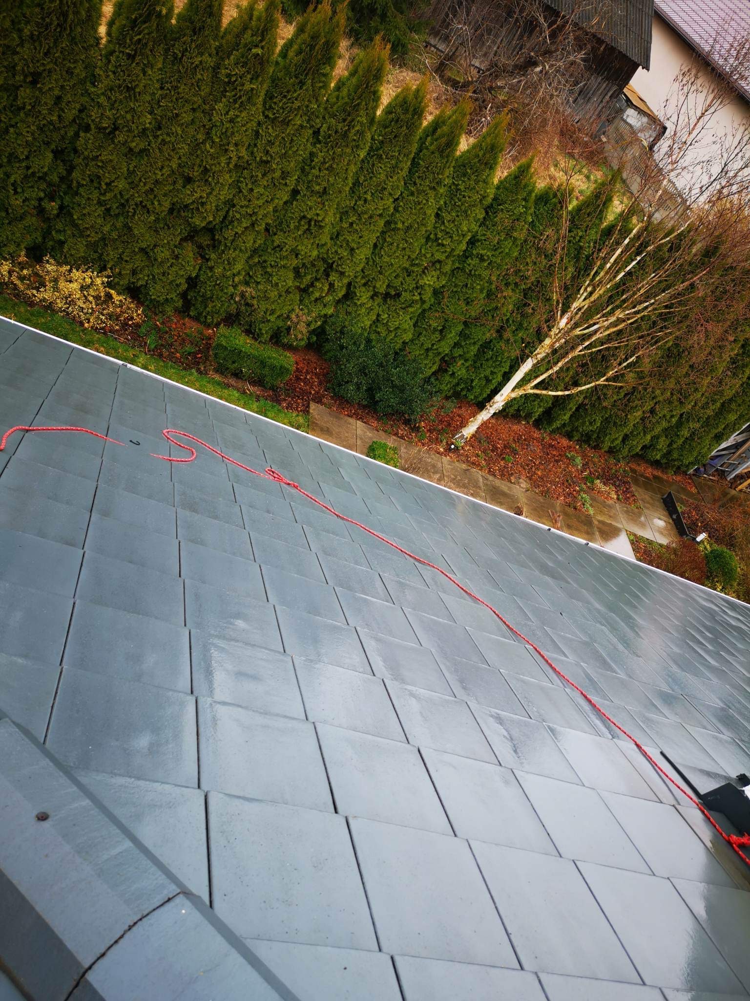 Szary dach pokryty płytkami w kształcie kwadratów, z czerwoną liną zabezpieczającą, w tle rząd wysokich, zielonych tuj i brzoza.