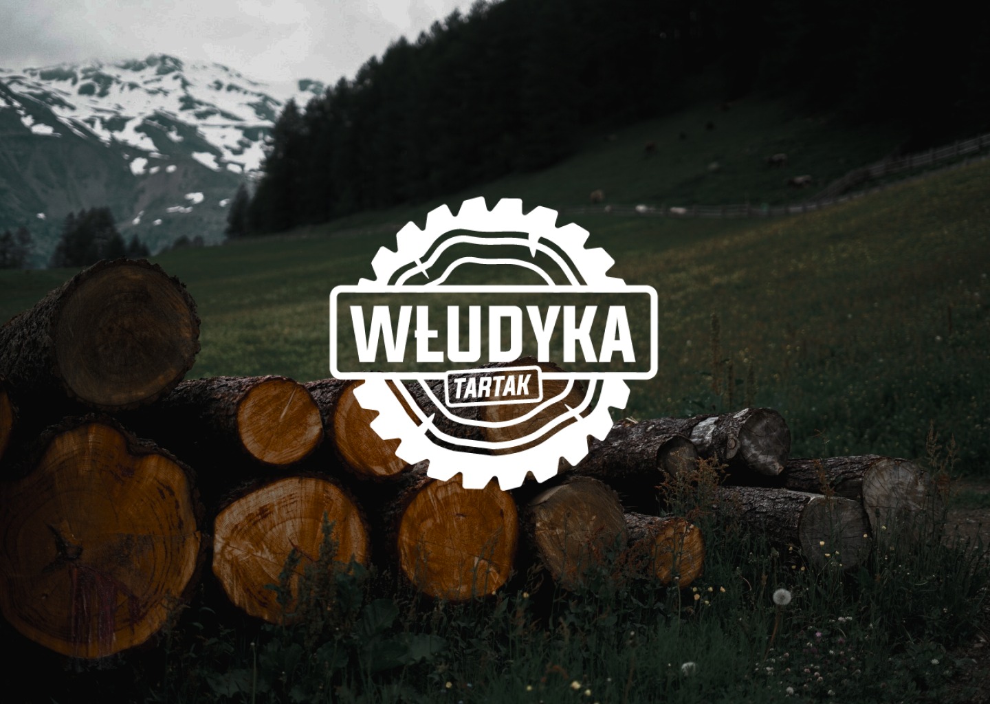 Logo tartaku 'Włudyka' na tle stosu ściętych pni drzew, z widokiem na zielone wzgórza i ośnieżone szczyty w tle.