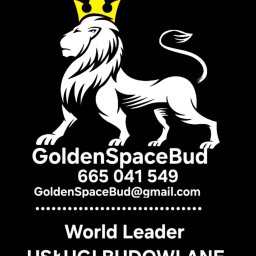 GoldenSpaceBud - Montaż Drzwi Zewnętrznych Orneta