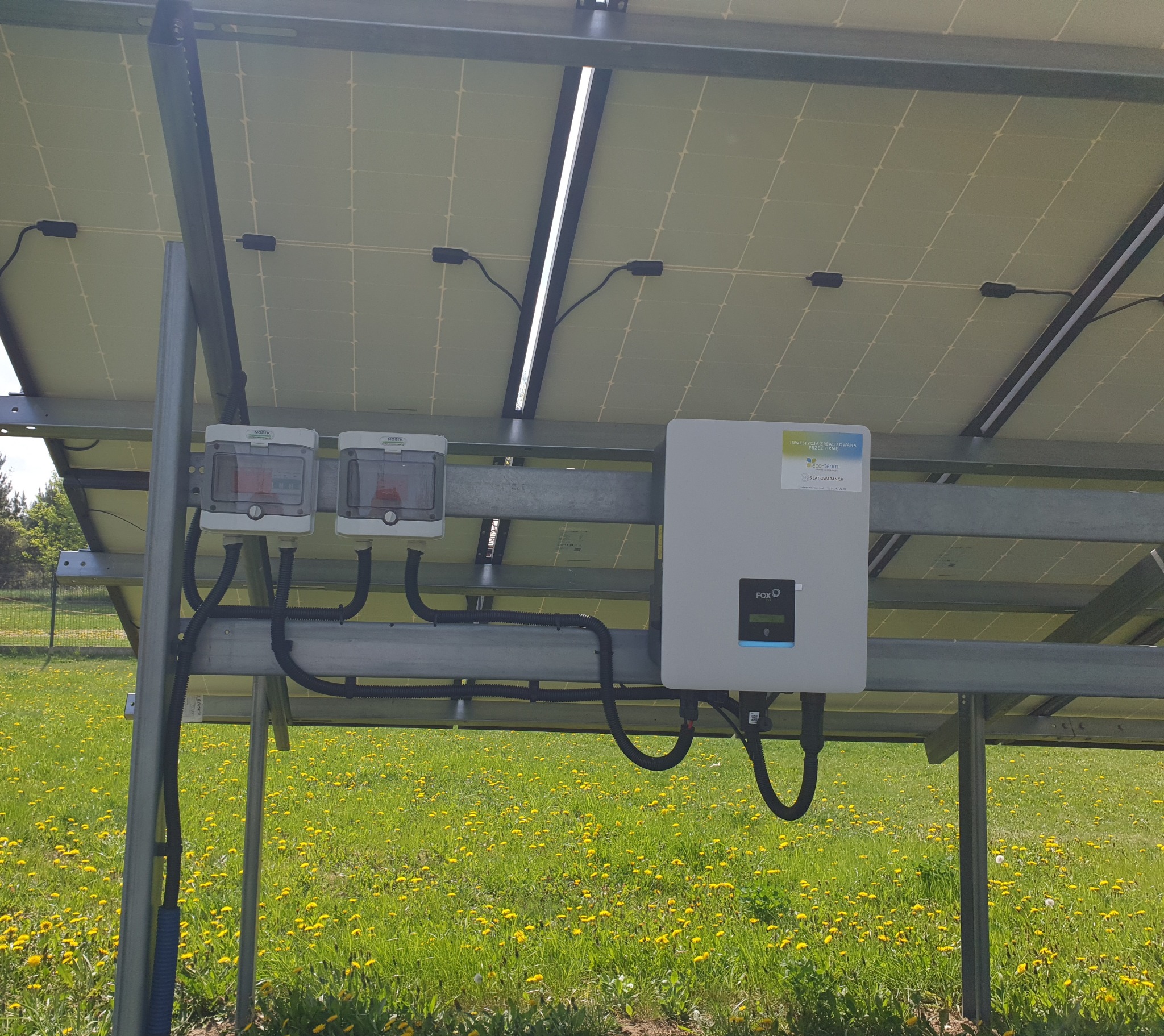 Widok od spodu na panele fotowoltaiczne z widocznymi przewodami, skrzynkami przyłączeniowymi Noark i inwerterem FOX, na tle łąki z kwitnącymi mniszkami.