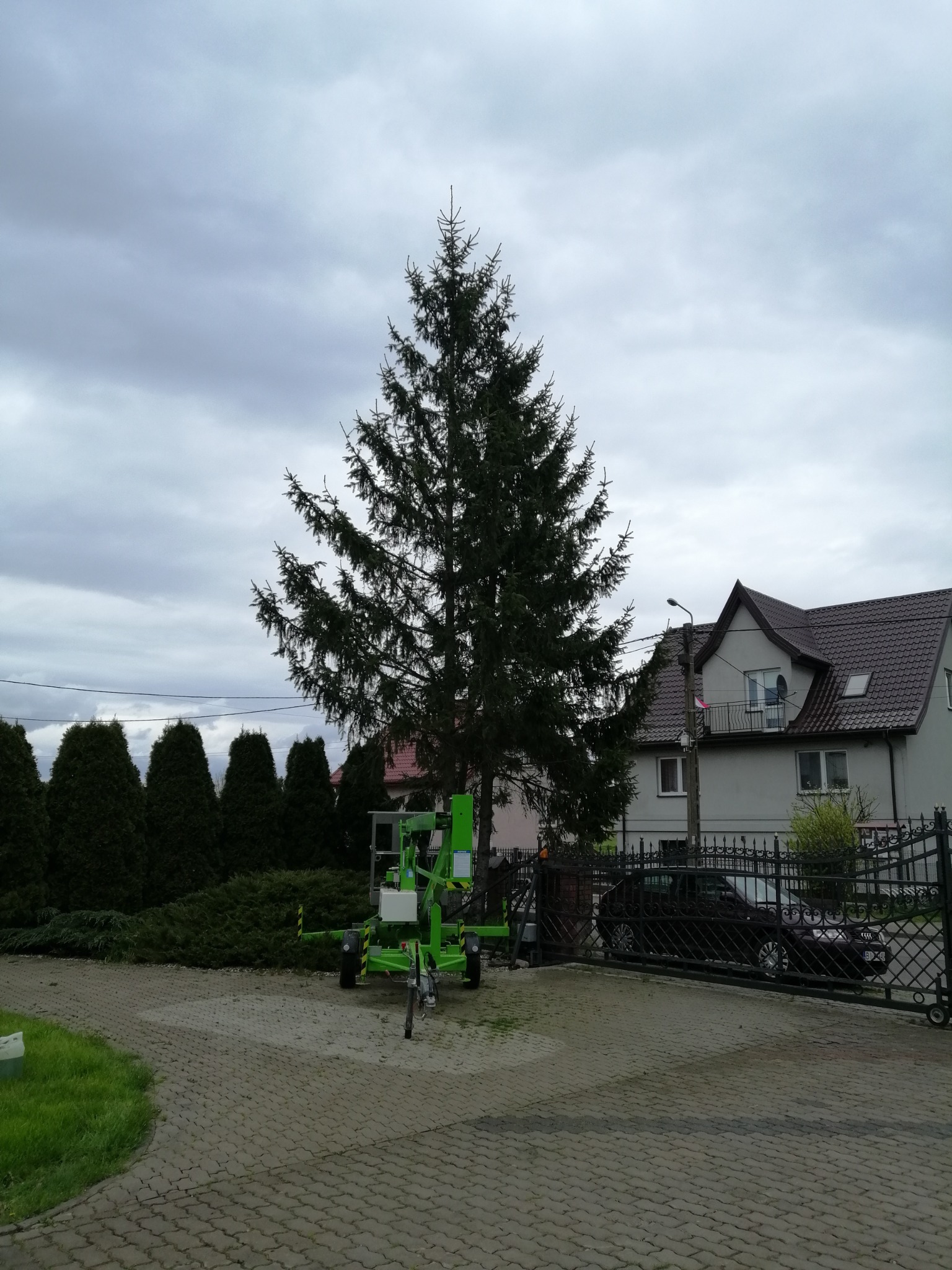 Wysoka choinka przed domem, obok zielony podnośnik koszowy i rząd tuj, pochmurne niebo.