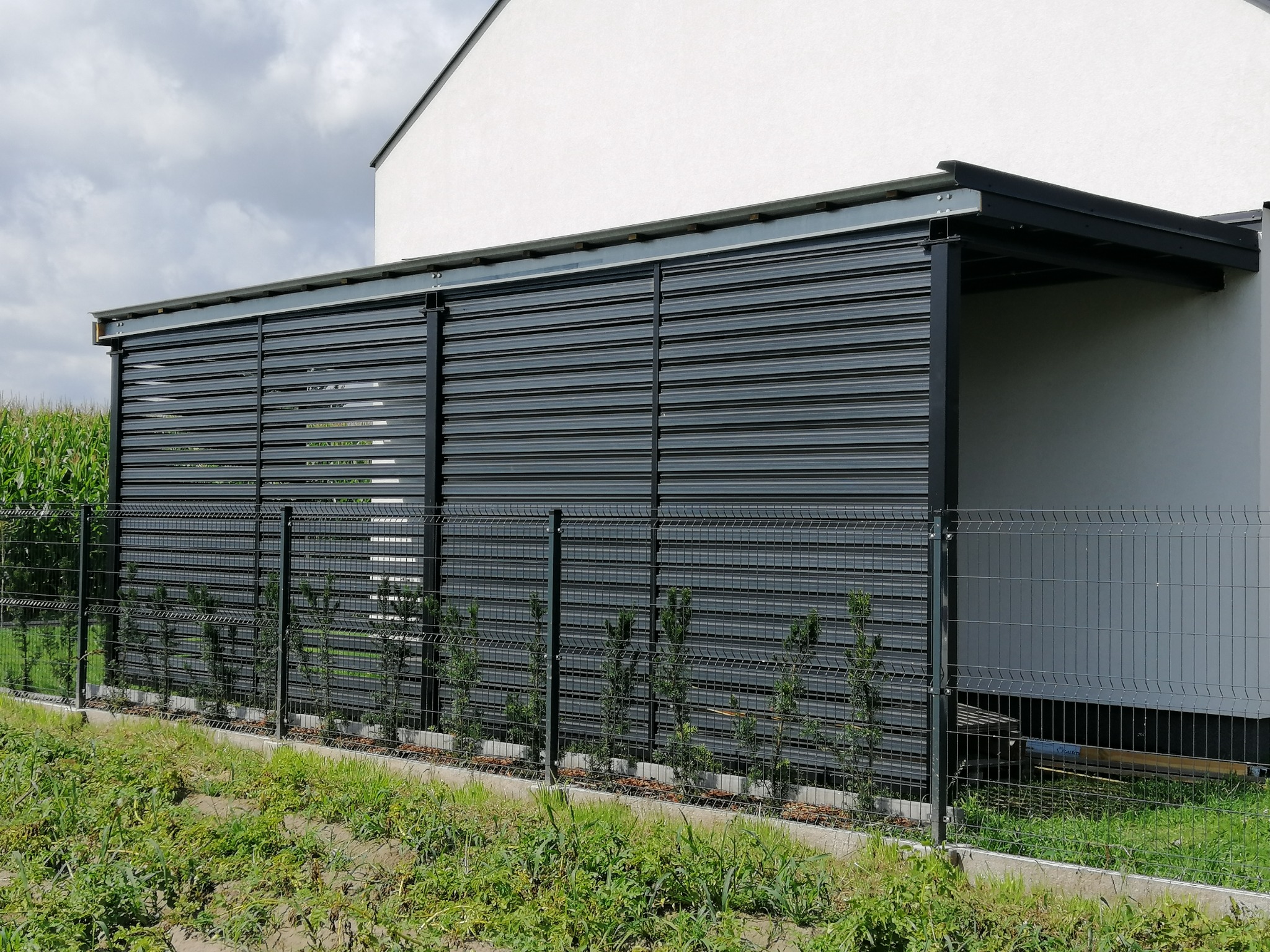 Nowoczesna, metalowa pergola z żaluzjowymi ścianami w Łapach, osłaniająca część ogrodu, z widocznymi młodymi drzewkami iglastymi posadzonymi wzdłuż ogrodzenia.