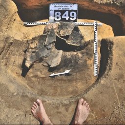 Ubezpieczenie na życie Żywiec 3