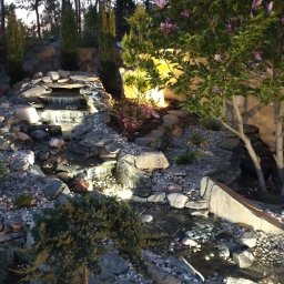 Bartosz Bolonek - Ogród skalny z kaskadą wodną, oświetlony punktowo, z kwitnącą magnolią i iglakami. Kamienne obrzeża i żwirowe podłoże tworzą naturalny, relaksujący krajobraz.