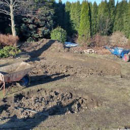 Wycinka drzew Pabianice 2