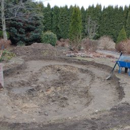 Wycinka drzew Pabianice 3