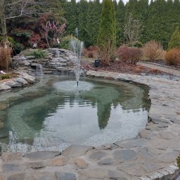 Bartosz Bolonek - Oczko wodne z kaskadą i fontanną, obłożone kamieniem, otoczone zielenią i ścieżką z kamienia łupanego. W tle rząd tuj.