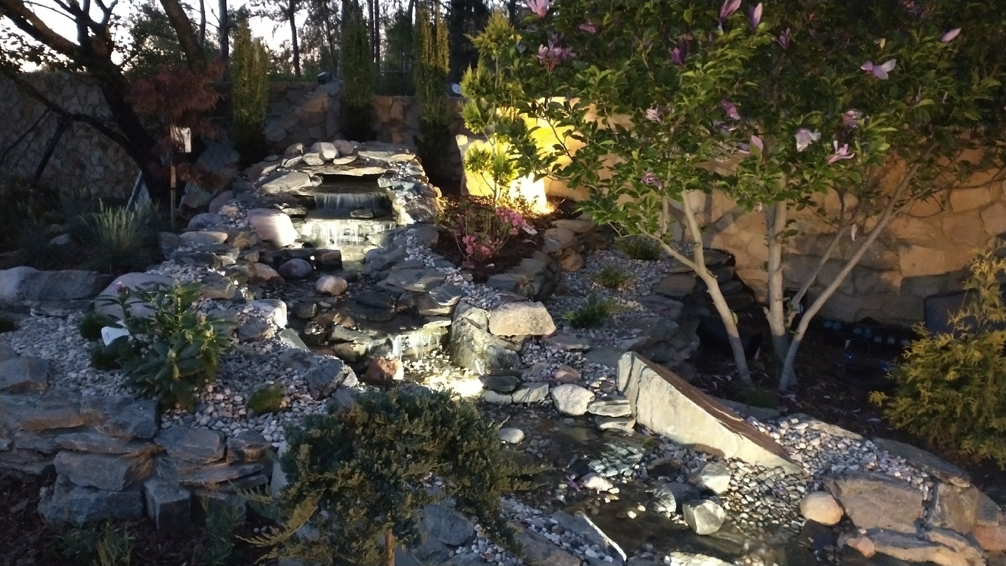 Ogród skalny z kaskadą wodną, oświetlony punktowo, z kwitnącą magnolią i iglakami. Kamienne obrzeża i żwirowe podłoże tworzą naturalny, relaksujący krajobraz.