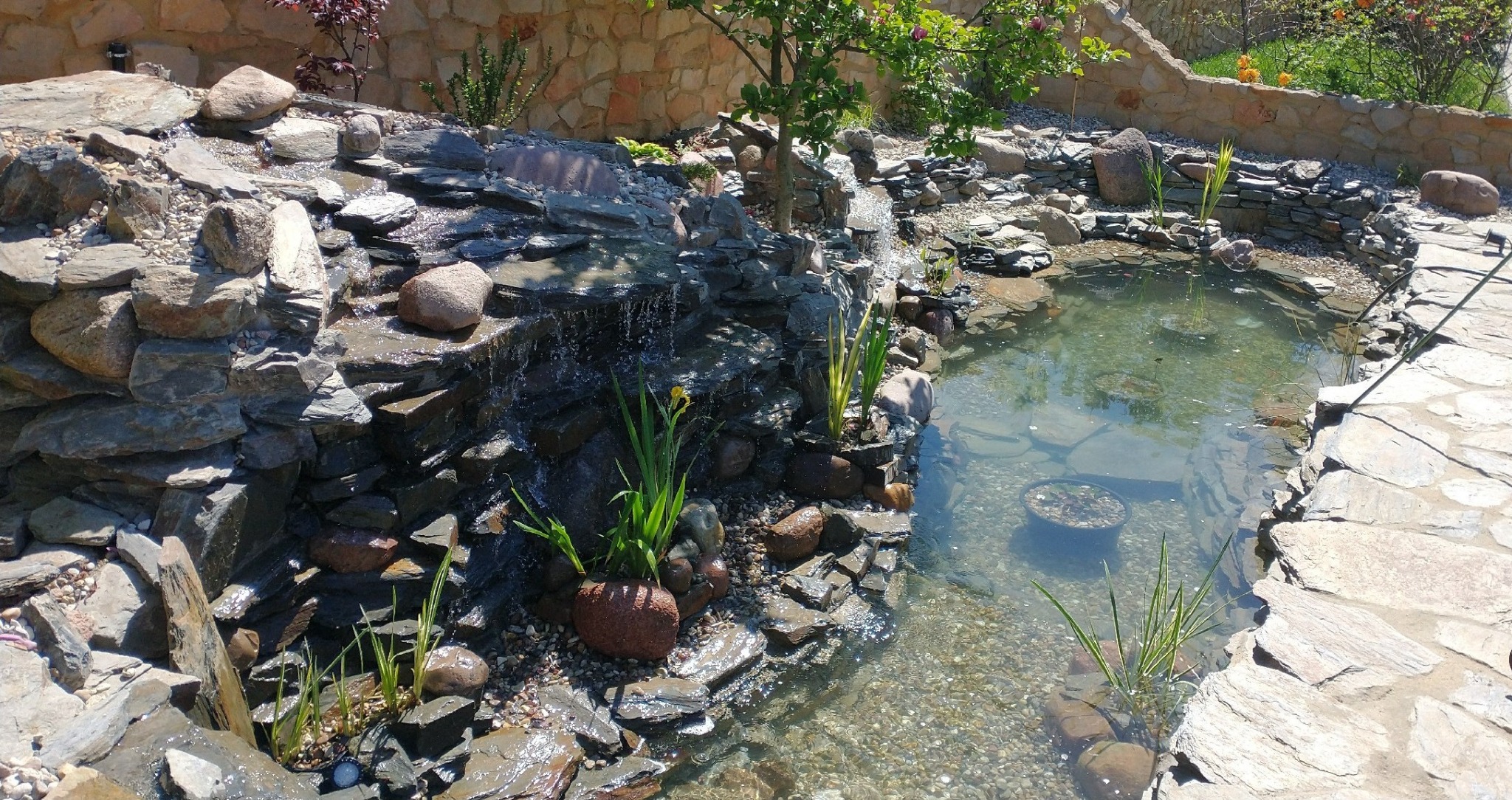 Oczko wodne z kaskadą wodną, wyłożone kamieniami o różnych rozmiarach i kształtach. Woda w stawie jest czysta, a na dnie widać kamienie i rośliny.