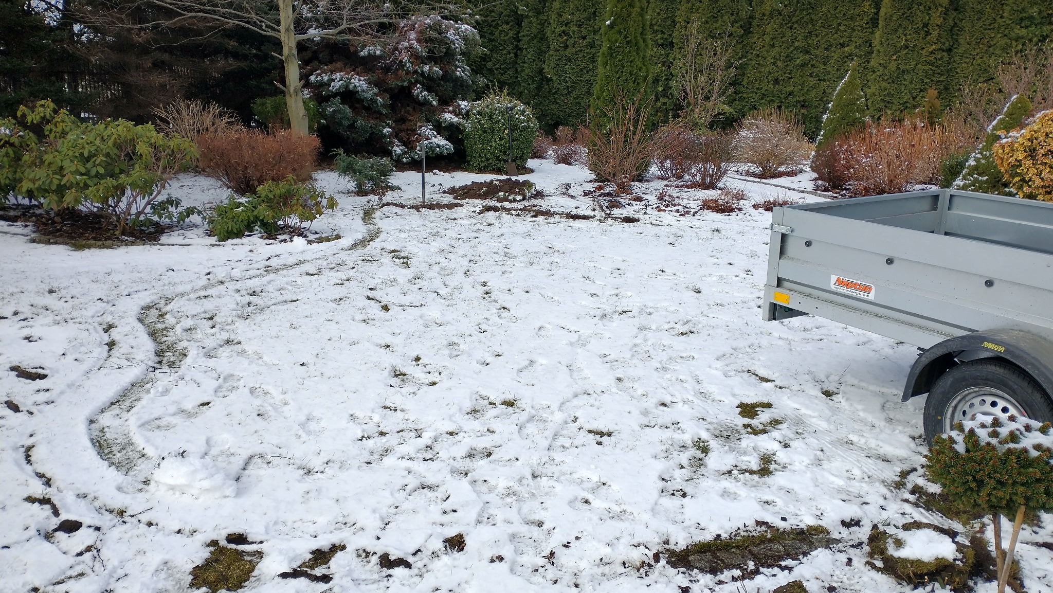 Zasypany śniegiem ogród z wykopaną ziemią, śladami i przyczepką. Widoczne krzewy i drzewa iglaste w tle. Przygotowanie terenu pod prace ogrodowe w zimowych warunkach.