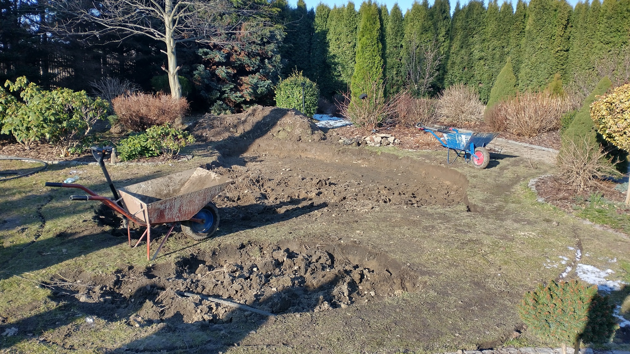 Przygotowanie terenu pod ogród: wykopane rowy, dwie taczki (jedna czerwona, druga niebieska), ziemia, trawa, drzewa iglaste w tle, resztki śniegu.