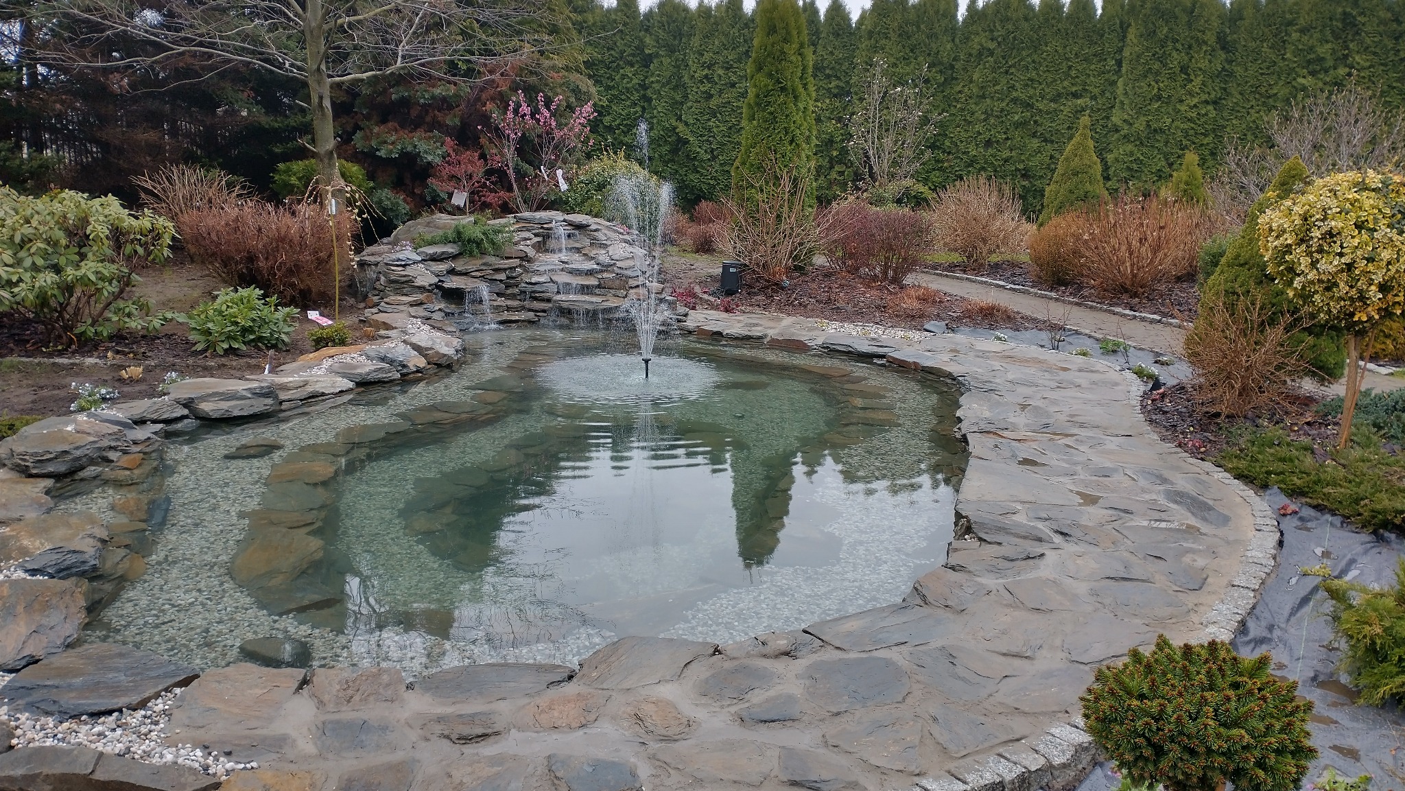 Oczko wodne z kaskadą i fontanną, obłożone kamieniem, otoczone zielenią i ścieżką z kamienia łupanego. W tle rząd tuj.