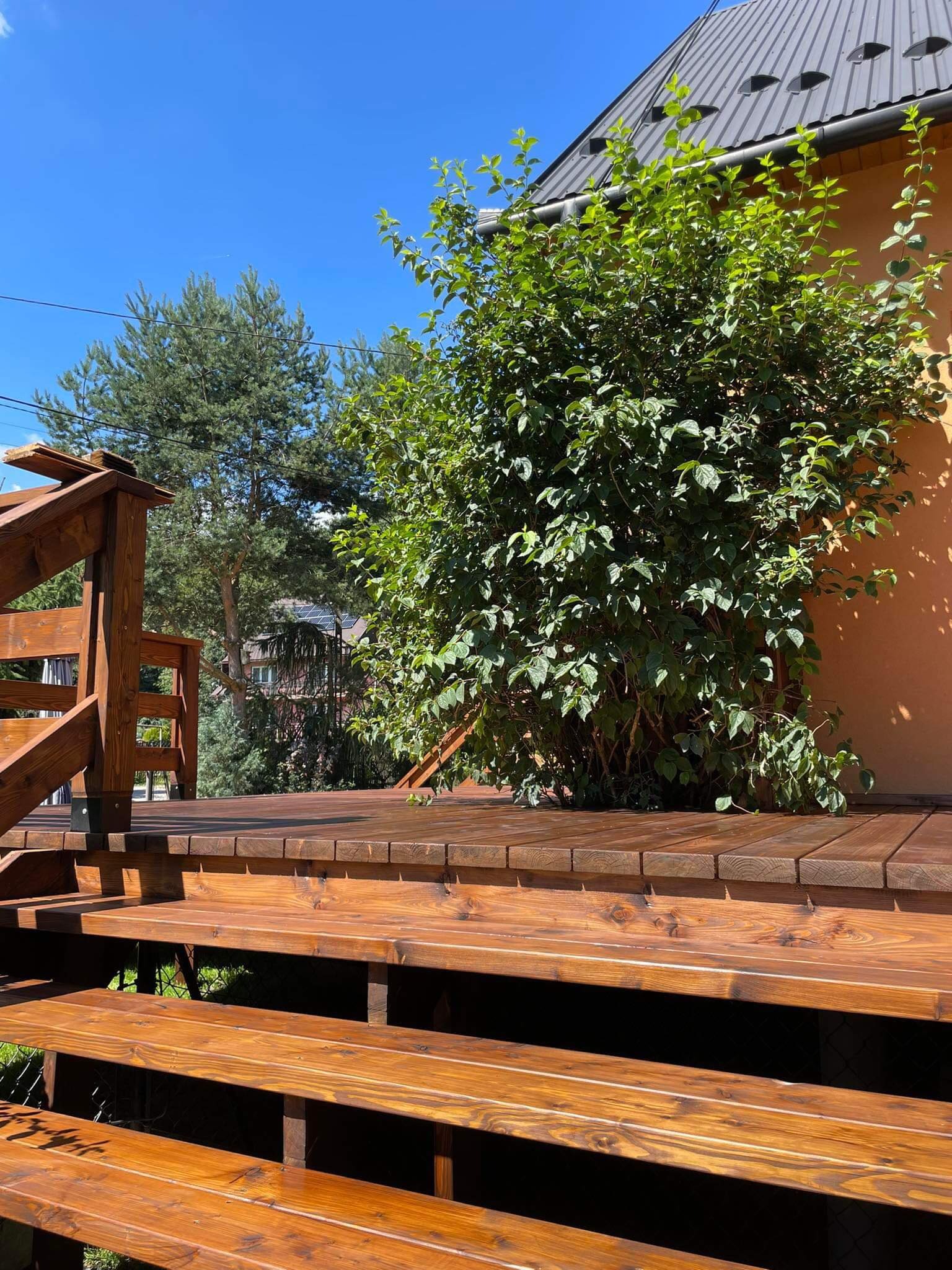 Świeżo polakierowany drewniany taras z schodami, otoczony zielenią i budynkiem z szarą blachodachówką w tle, widok z dołu.