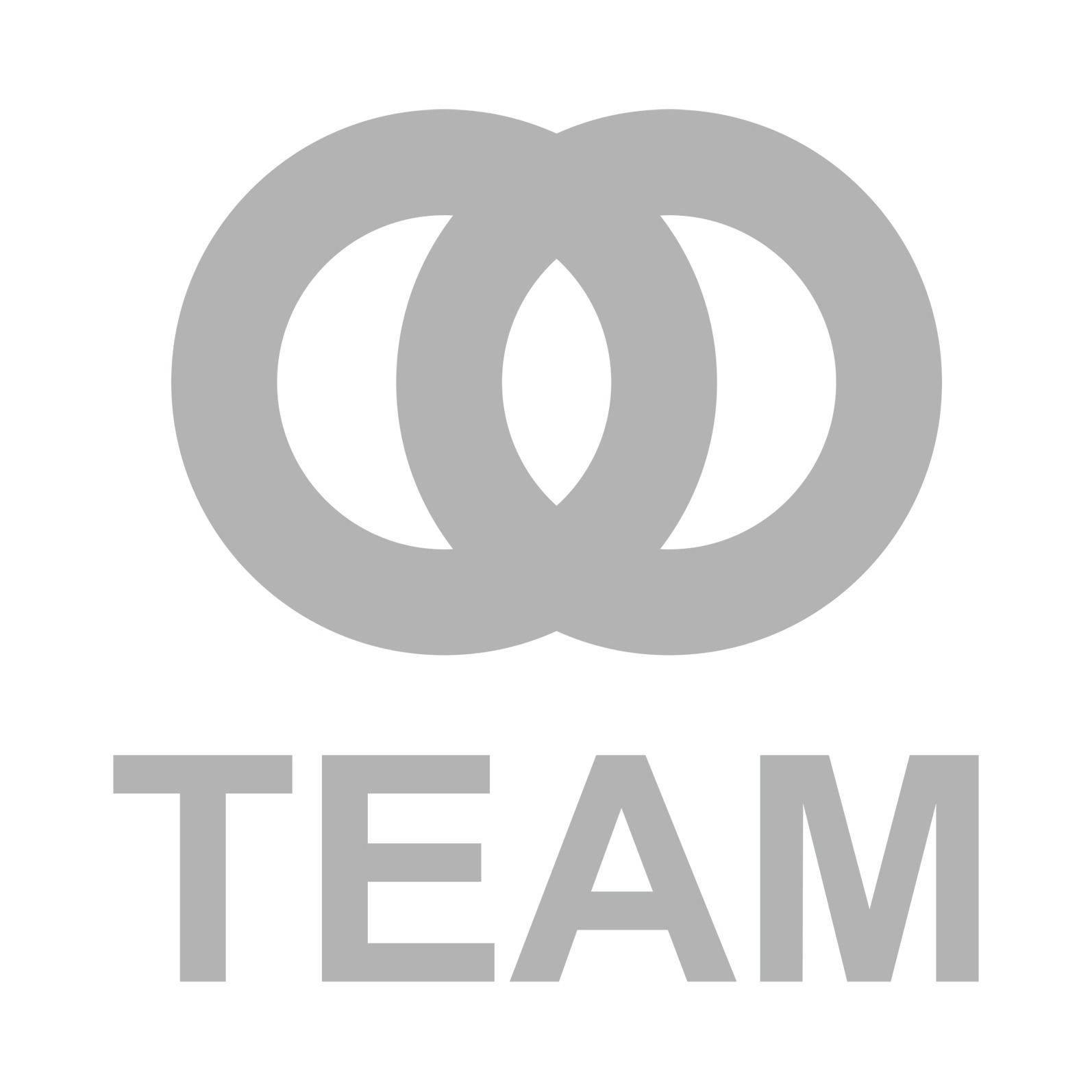 Szare logo firmy odzieżowej z dwoma splecionymi okręgami i napisem 'TEAM' poniżej, na białym tle.