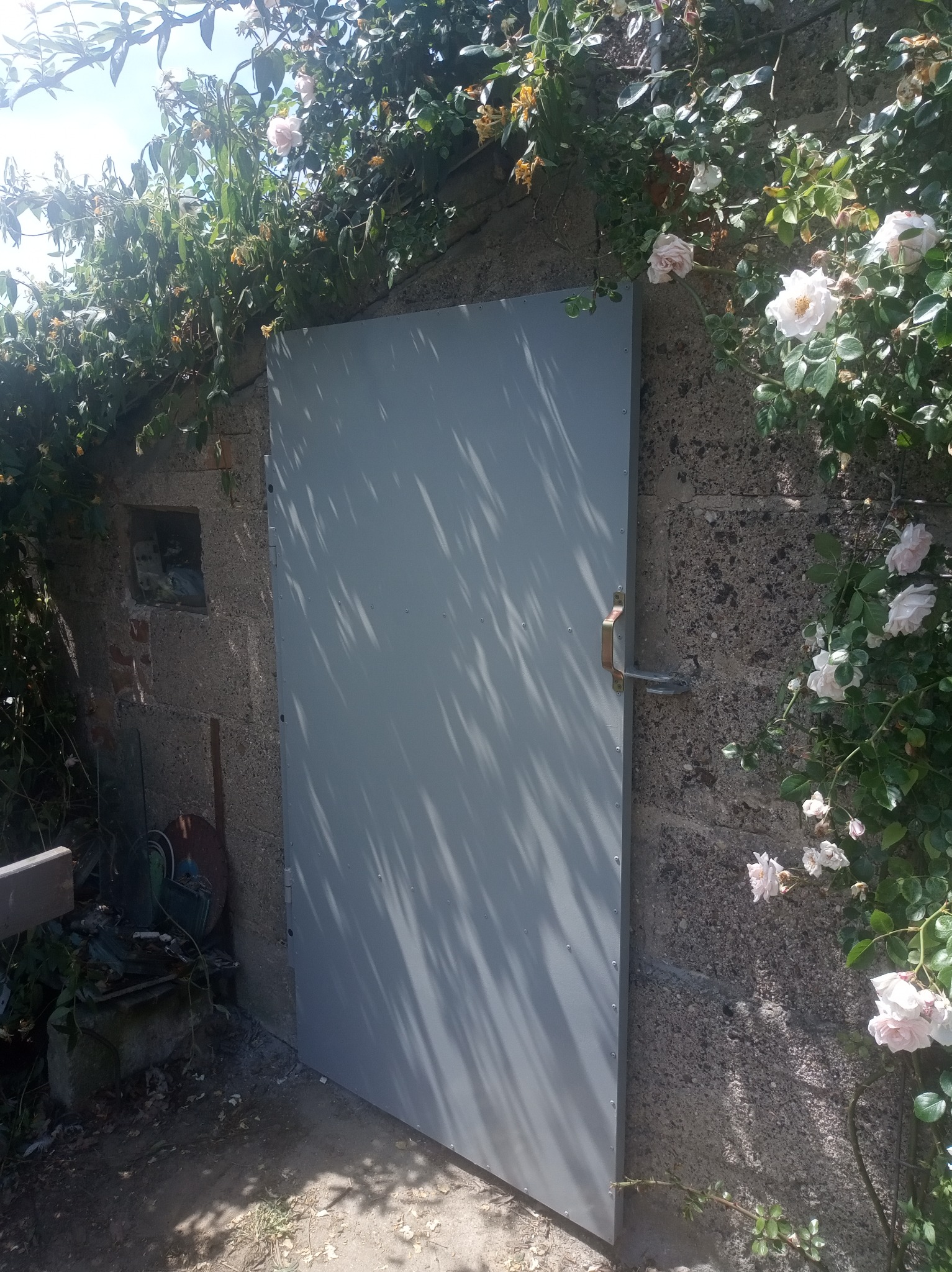 Szara, metalowa brama wejściowa do piwnicy lub pomieszczenia gospodarczego w murze z bloków, otoczona pnącymi różami.