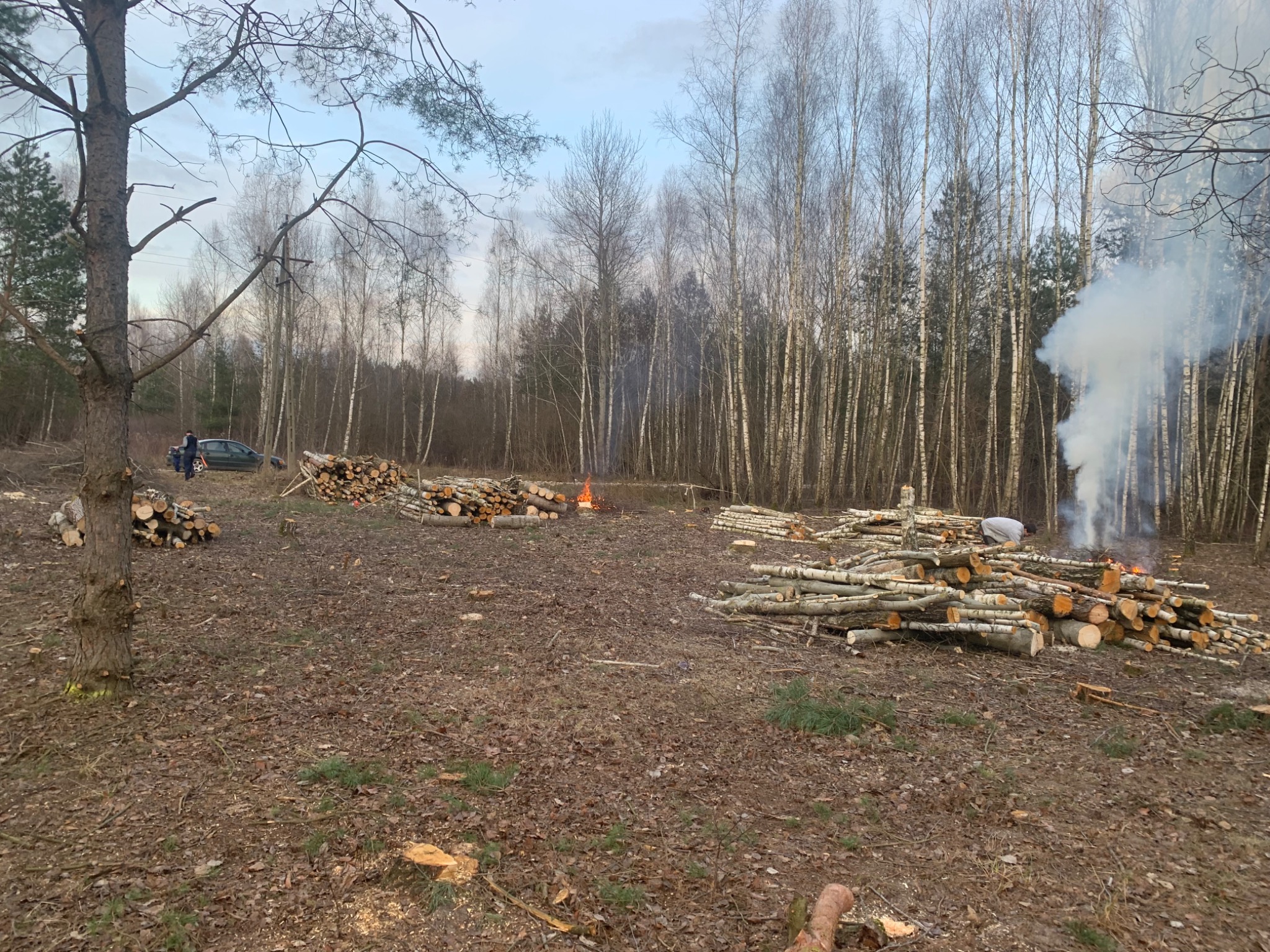 Stosy pociętego drewna na skraju lasu, w tle płonie ognisko i unosi się dym, widoczna sylwetka osoby przy samochodzie.
