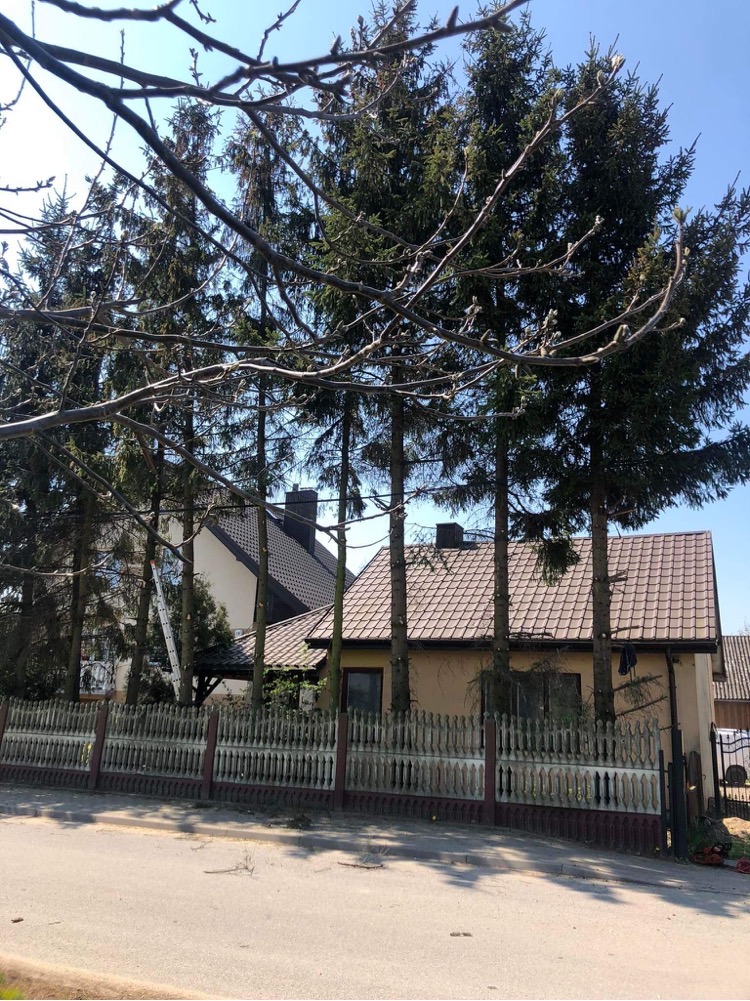 Dom jednorodzinny z panelami słonecznymi na dachu, częściowo zasłonięty przez wysokie sosny, widoczny z ulicy za niskim, drewnianym płotem.