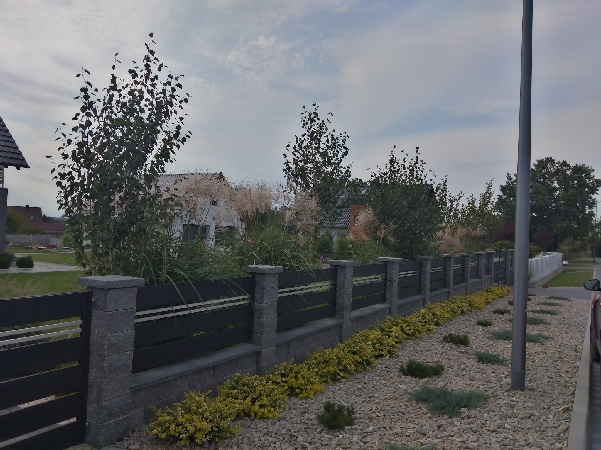 Nowoczesne ogrodzenie panelowe z szarego betonu i poziomych, czarnych listew, obsadzone niskimi, żółtymi krzewami na żwirowym podłożu, z widocznymi trawami ozdobnymi i drzewami w tle.