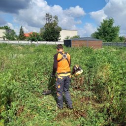 Arbo-Drwal Radosław Zawiślak - Pracownik w pomarańczowej kamizelce i szarych spodniach roboczych kosi wysoką trawę kosiarką spalinową na tle pochmurnego nieba i zabudowań.