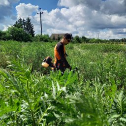 Arbo-Drwal Radosław Zawiślak - Mężczyzna w okularach ochronnych i pomarańczowej kamizelce tnie wysoką trawę za pomocą podkaszarki spalinowej na tle zachmurzonego nieba i drzew.