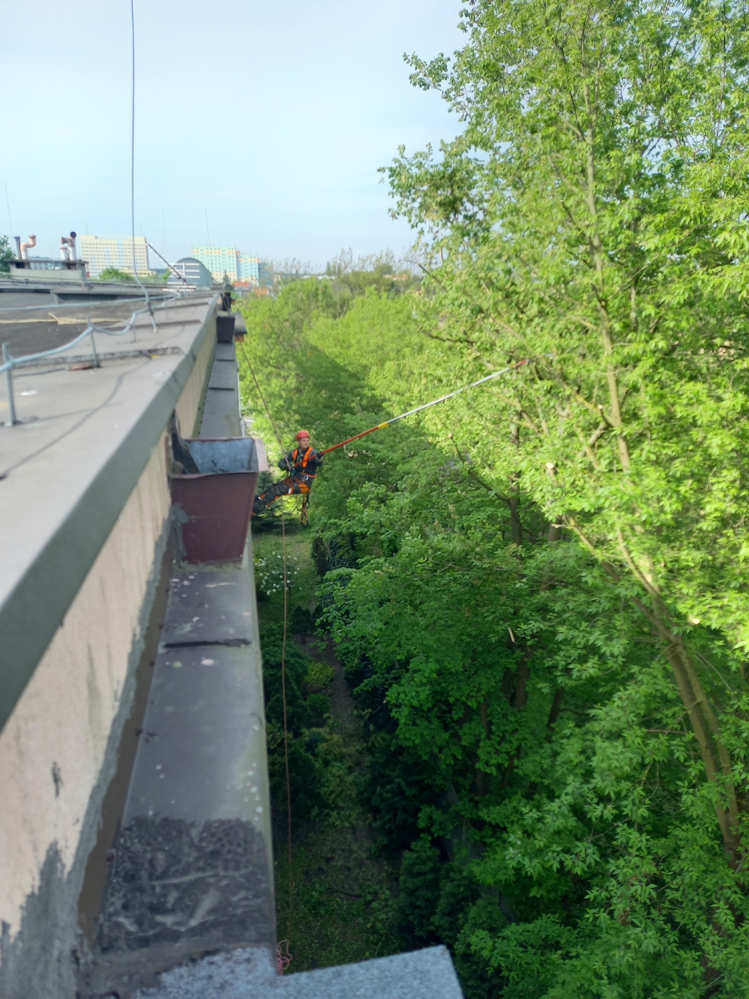 Pracownik na linie, zabezpieczony uprzężą, tnie gałęzie drzew z poziomu dachu budynku wielorodzinnego; widok z góry na zieleń drzew i dalszy plan zabudowy miejskiej.