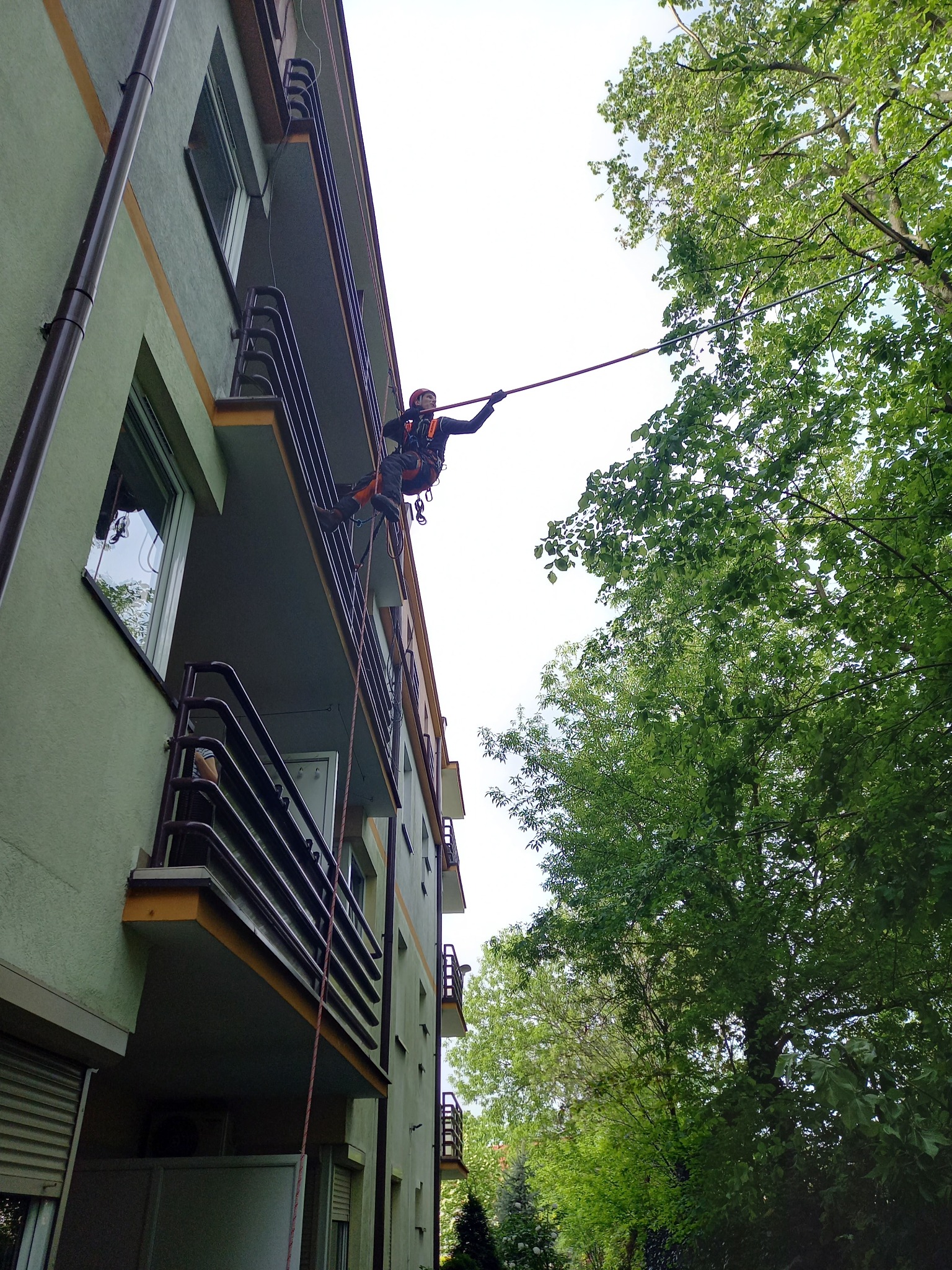 Pracownik na wysokości, zabezpieczony linami, z długim narzędziem przy drzewie obok bloku mieszkalnego.