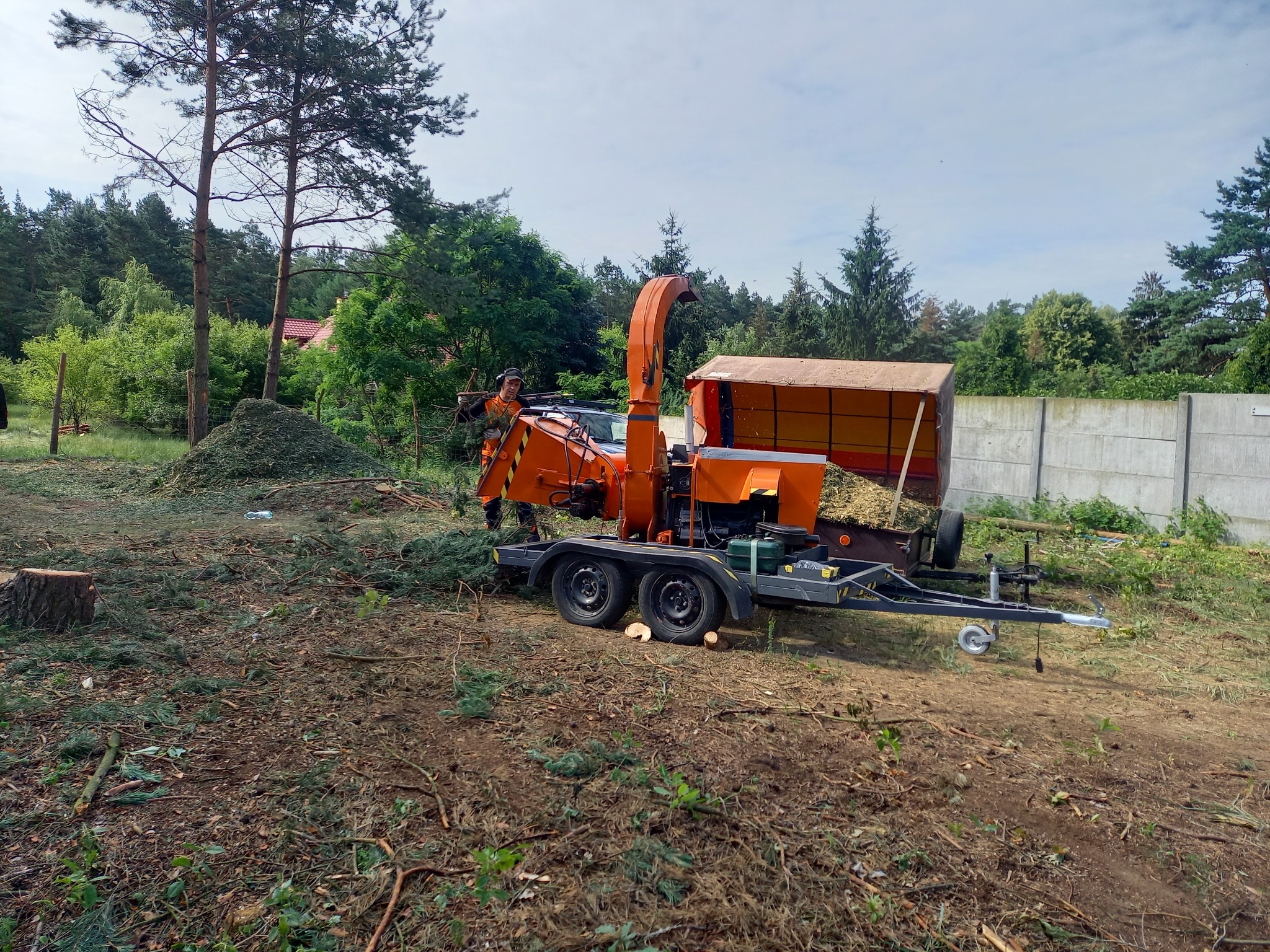 Pracownik w pomarańczowym kombinezonie obsługuje pomarańczową rębarkę do gałęzi, obok leżą ścięte gałęzie i pocięte pnie drzew.