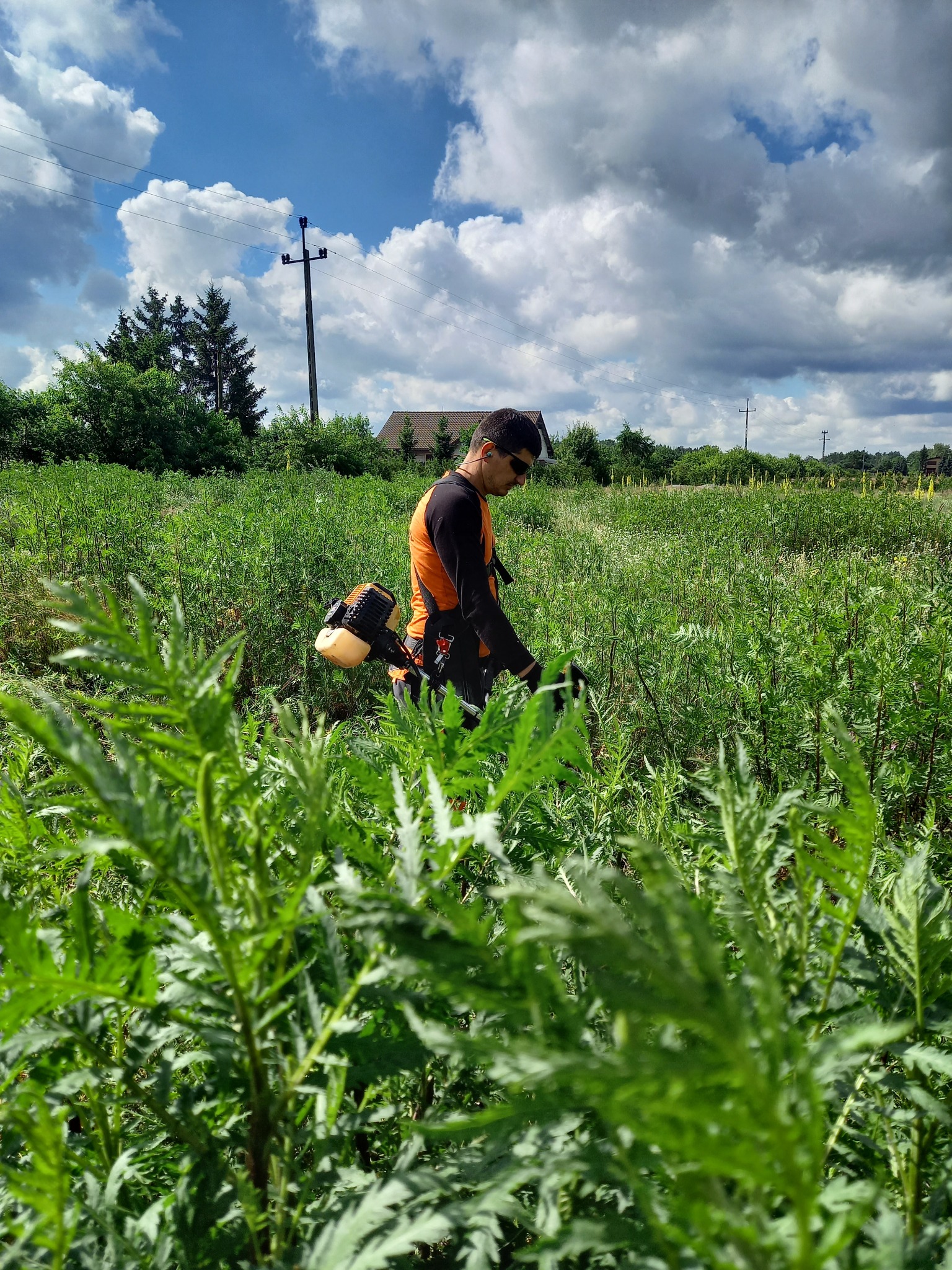 Mężczyzna w okularach ochronnych i pomarańczowej kamizelce tnie wysoką trawę za pomocą podkaszarki spalinowej na tle zachmurzonego nieba i drzew.