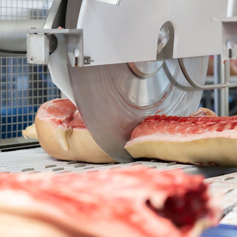 Automatyczna piła taśmowa tnie kawałki surowego produktu na linii produkcyjnej, widoczne świeże przekroje i fragmenty tłuszczu.