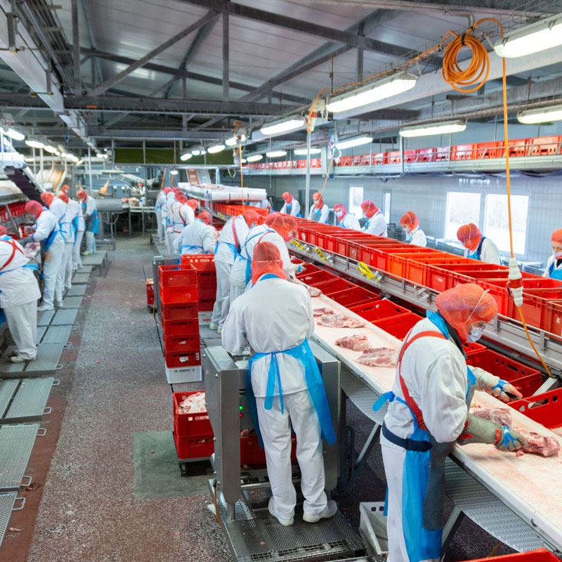 Linia produkcyjna w zakładzie mięsnym: pracownicy w kombinezonach, maskach i czepkach obrabiają mięso na taśmie, z czerwonymi pojemnikami na bokach.