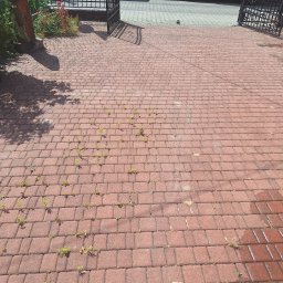 Adam Maksylewicz - Czerwona kostka brukowa z chwastami i mokrymi plamami, widok z góry, brama w tle. Część kostki jest umyta, co sugeruje etap czyszczenia.