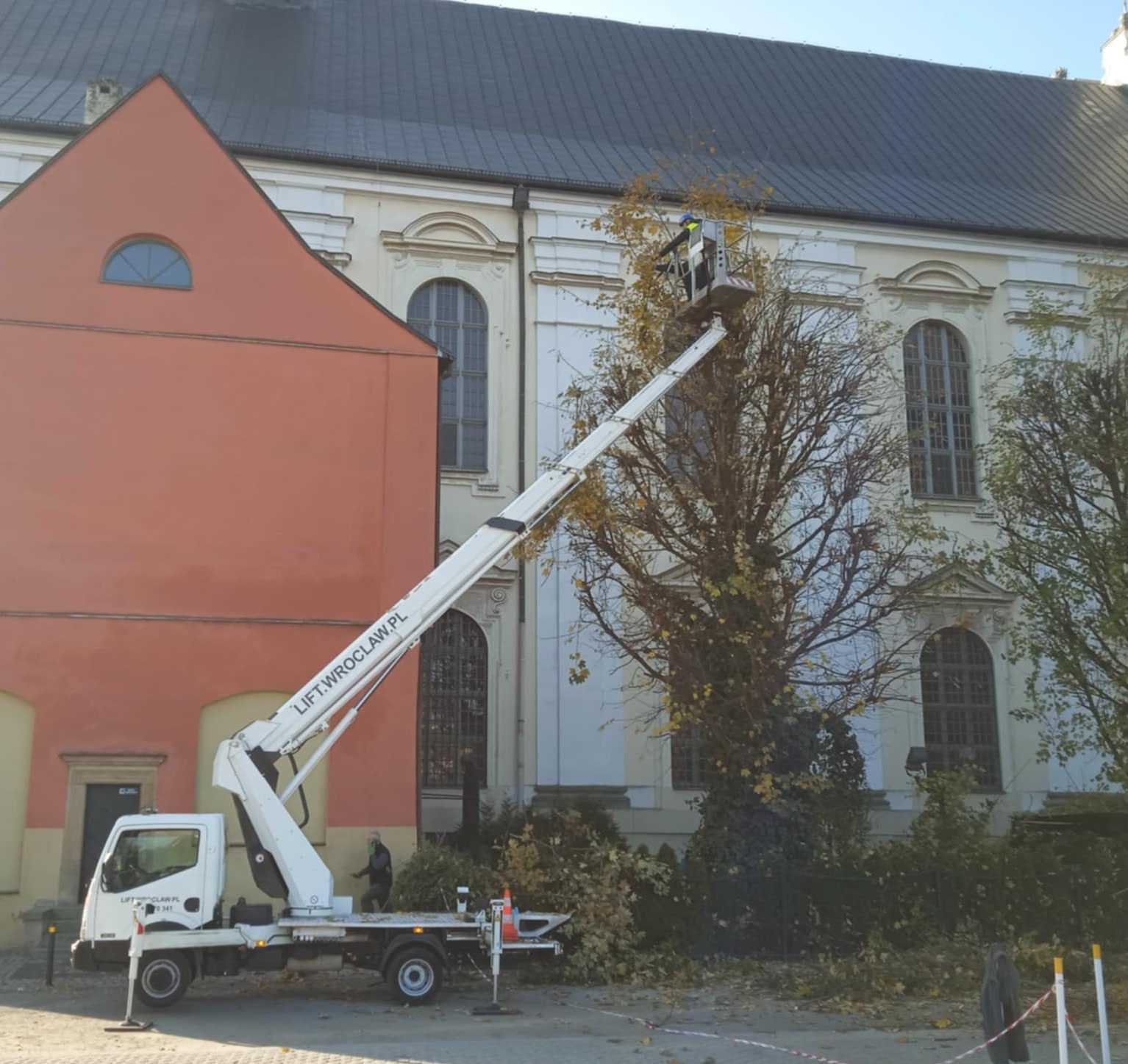 Pracownik w koszu podnośnika teleskopowego, na tle zabytkowego budynku, przycina gałęzie drzewa. Na pojeździe widoczny adres strony internetowej firmy.