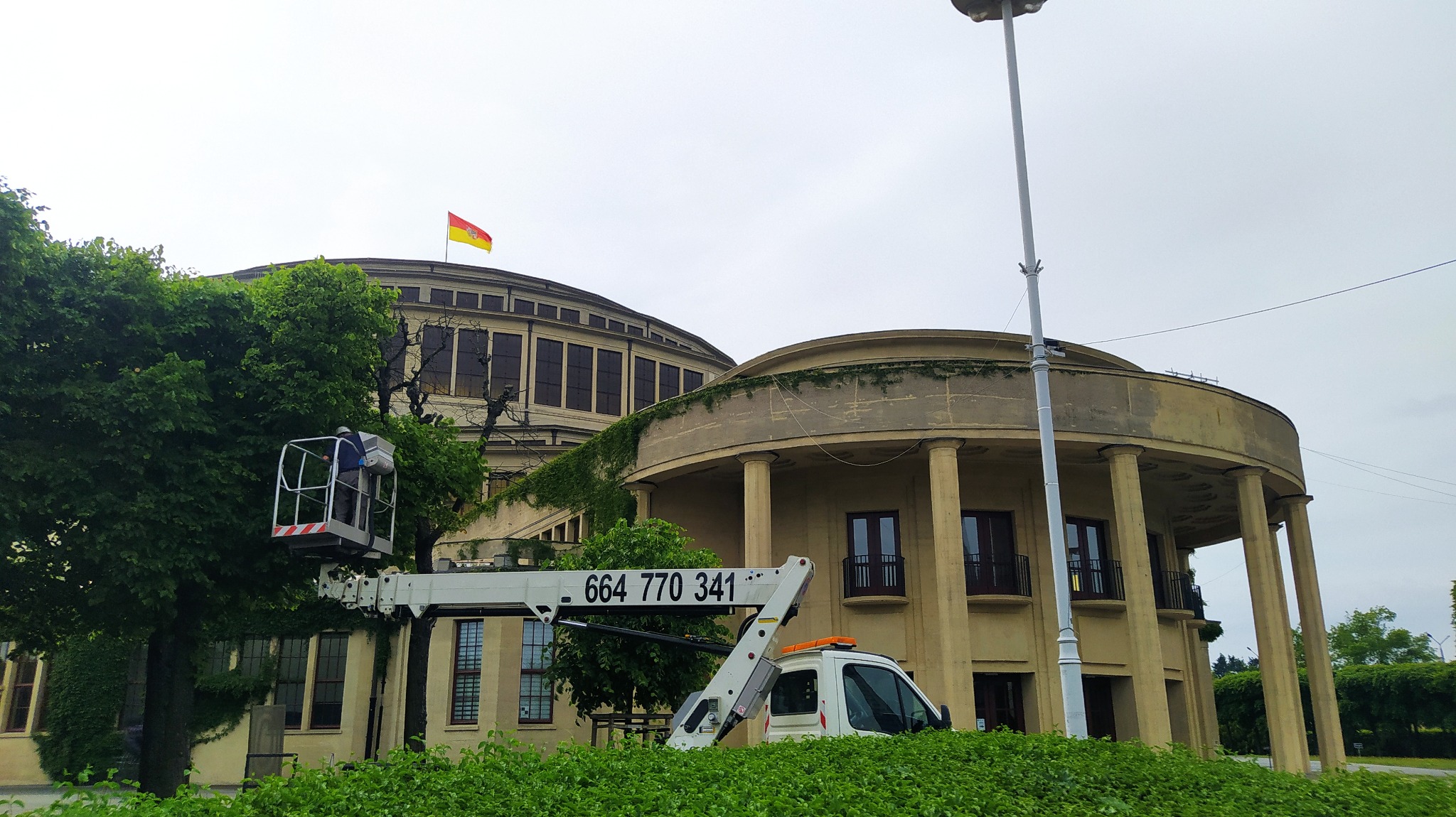 Wycinka niebezpiecznego drzewa przy Hali Stulecia