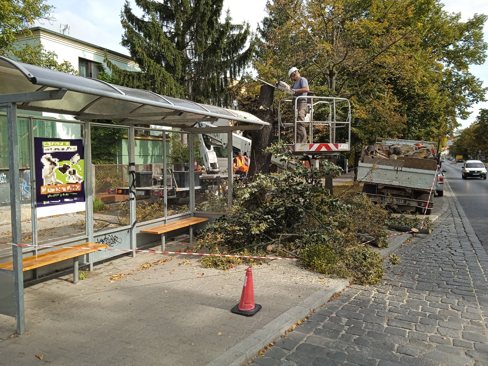 Pracownik na podnośniku tnie drzewo piłą spalinową przy przystanku autobusowym, gałęzie leżą na ziemi i na przyczepie, teren zabezpieczony taśmą.