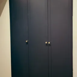 Ciemnogranatowa szafa wnękowa z trzema parami złotych gałek, widoczna część parkietu i dywan z orientalnym wzorem.