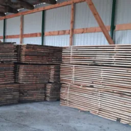 Stosy świeżo przetartego drewna ułożone w hali magazynowej, widoczne ślady czerwonej farby na niektórych deskach, drewniana konstrukcja dachu hali.