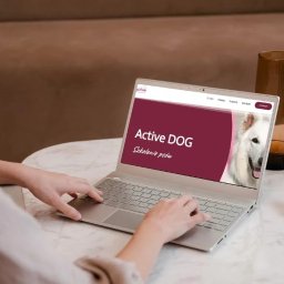 Wykonanie strony internetowej dla active-dog.pl