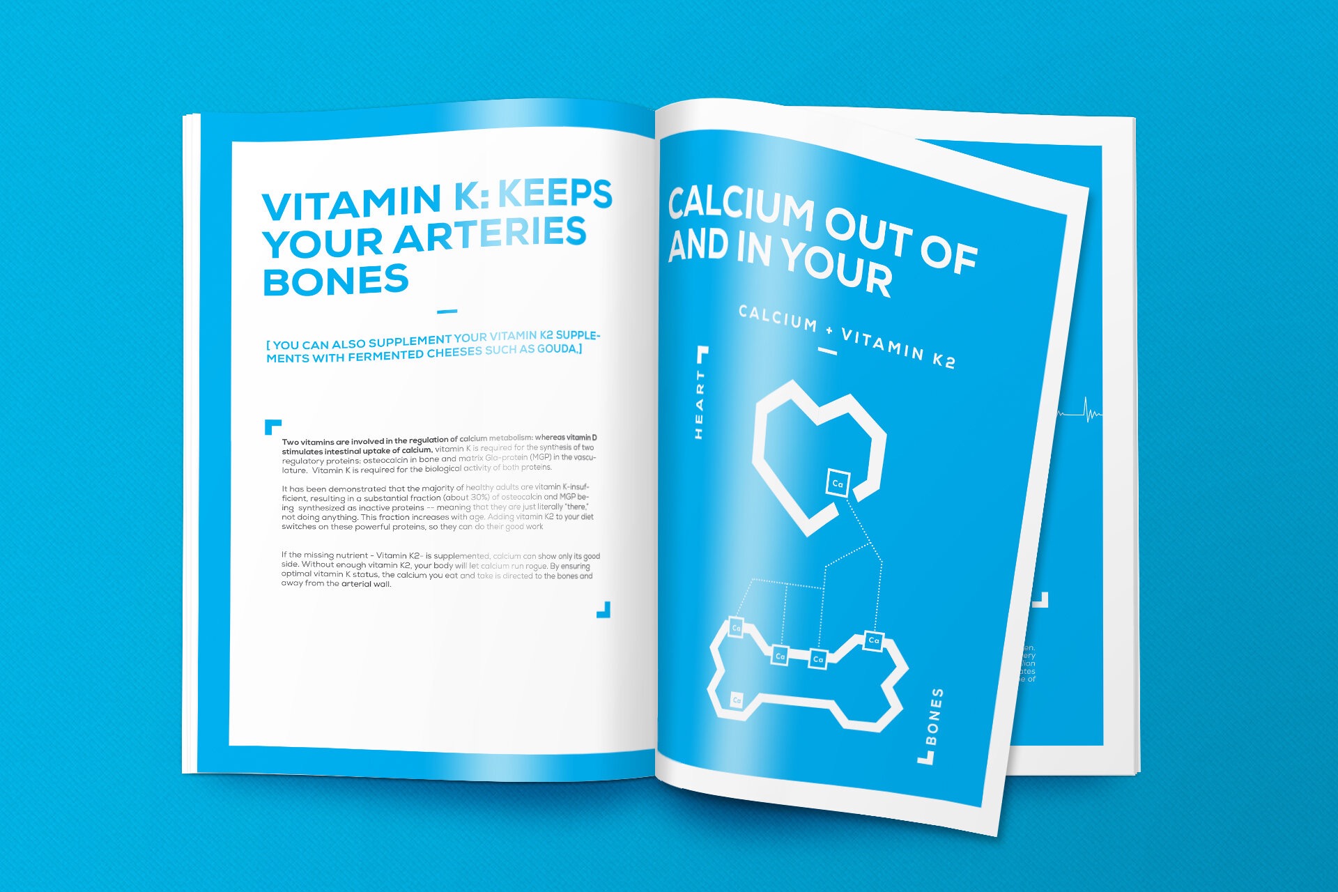 Otwarta broszura z infografiką na temat witaminy K i jej wpływu na zdrowie kości i serca, z ilustracjami przedstawiającymi związek wapnia i witamin K2 w organizmie.