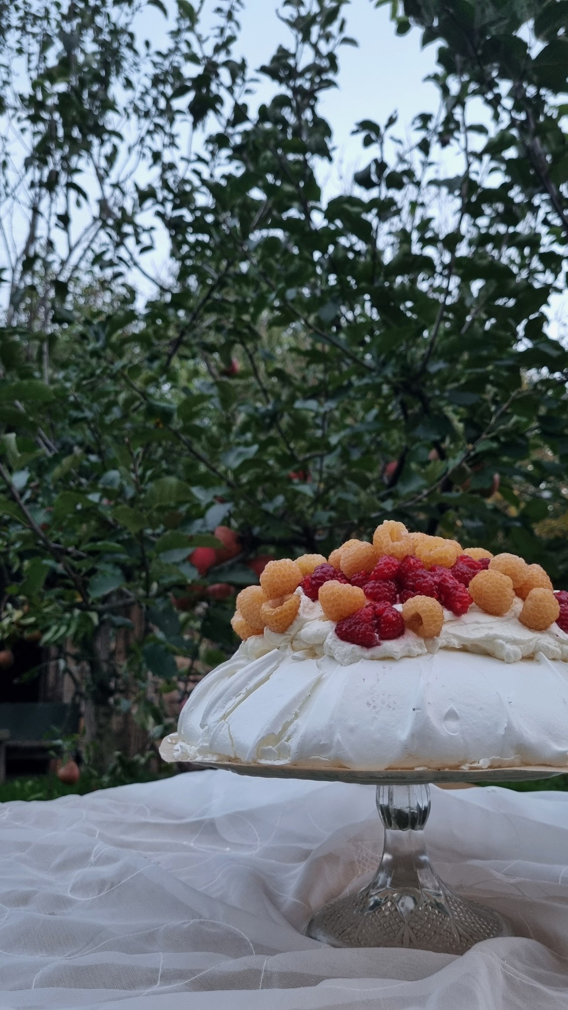 Tort bezowy Pavlova udekorowany świeżymi malinami czerwonymi i złotymi, na szklanej paterze, tło rozmyte z zielenią drzew owocowych.