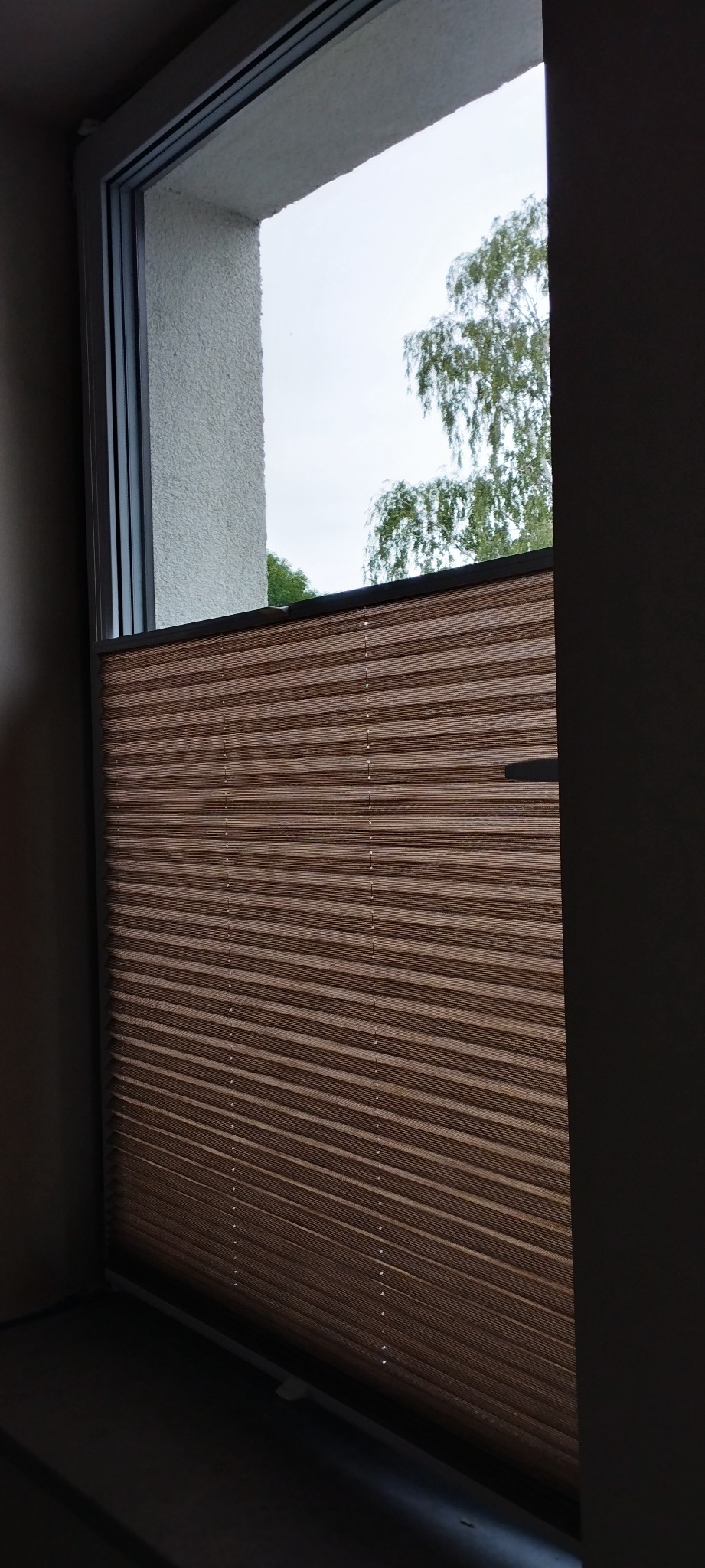 Brązowa, plisowana osłona okienna w szarej ramie okiennej, widok na drzewo przez okno.